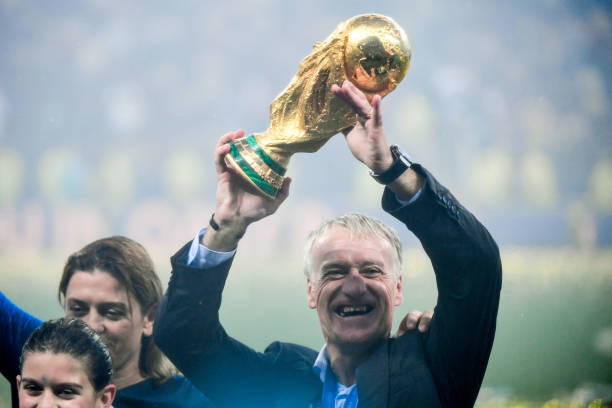 他们不仅是 他们不仅是