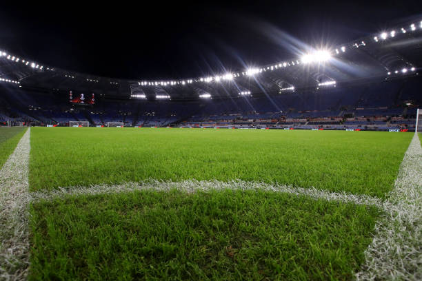 您将看到 您将看到